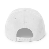 The Basics Maroon Snapback Hat