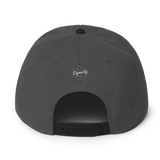 The Basics Maroon Snapback Hat